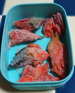 file.www.takiko-blog