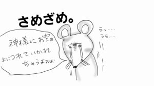 o0960054013914274132