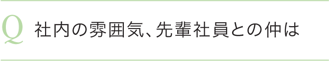 社内の雰囲気、先輩社員との仲は
