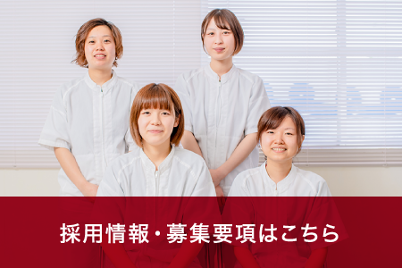 採用情報・募集要項はこちら