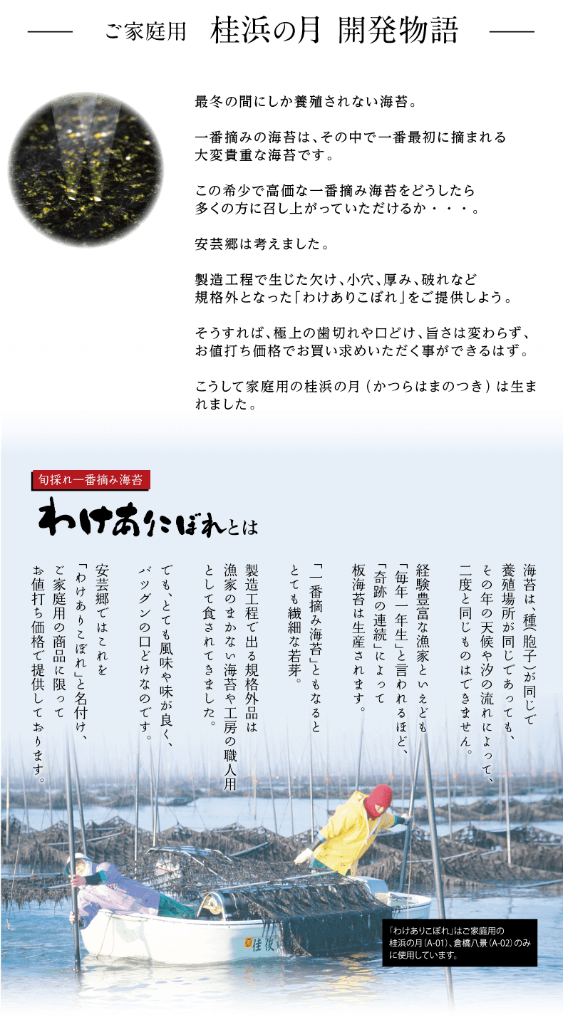 ご家庭用 味付けのり人気no1 桂浜の月 かつらはまのつき 海苔匠安芸郷の公式通販