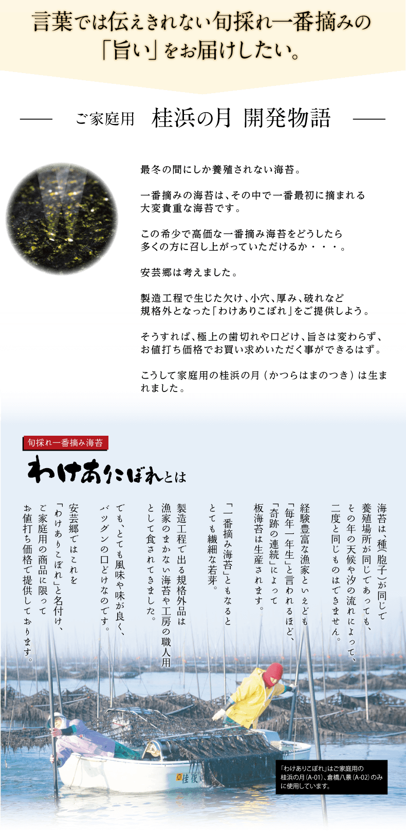 送料無料 お試し3袋 味付けのり 桂浜の月 海苔匠安芸郷の公式通販